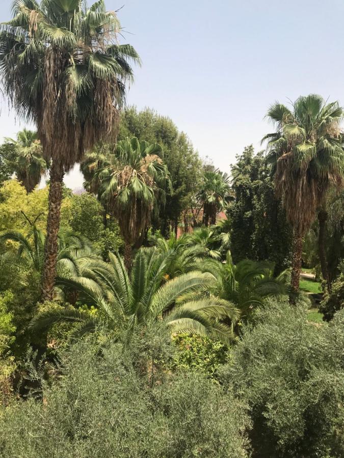 Riad Syrine Marrakesh Luaran gambar